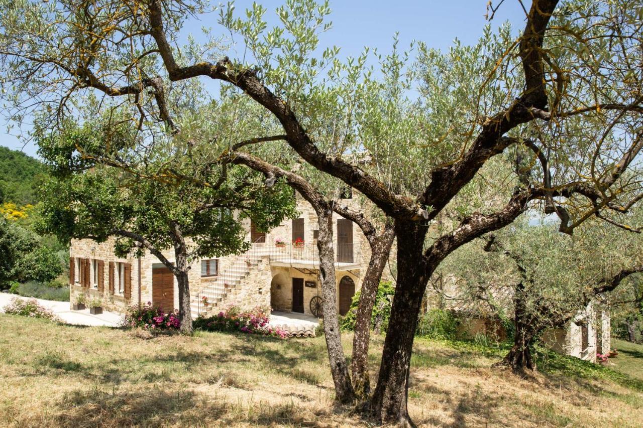 Villa Colle Di Rocco Limigiano Εξωτερικό φωτογραφία