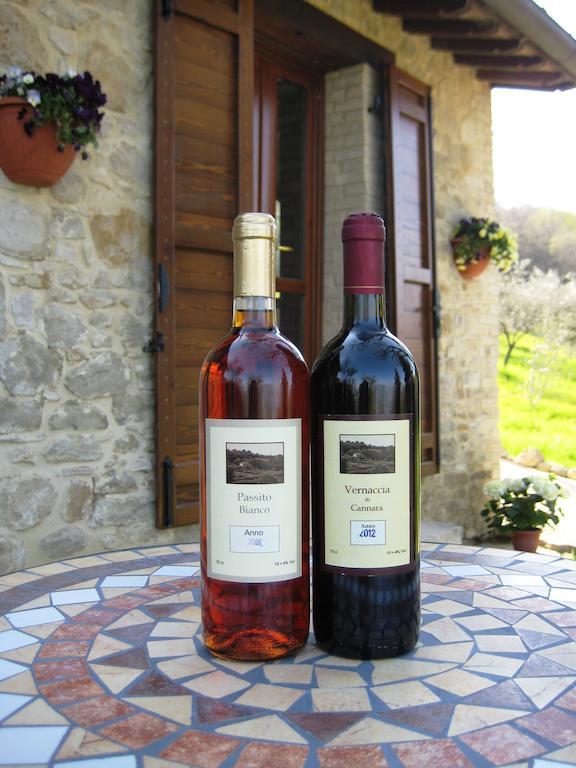Villa Colle Di Rocco Limigiano Εξωτερικό φωτογραφία