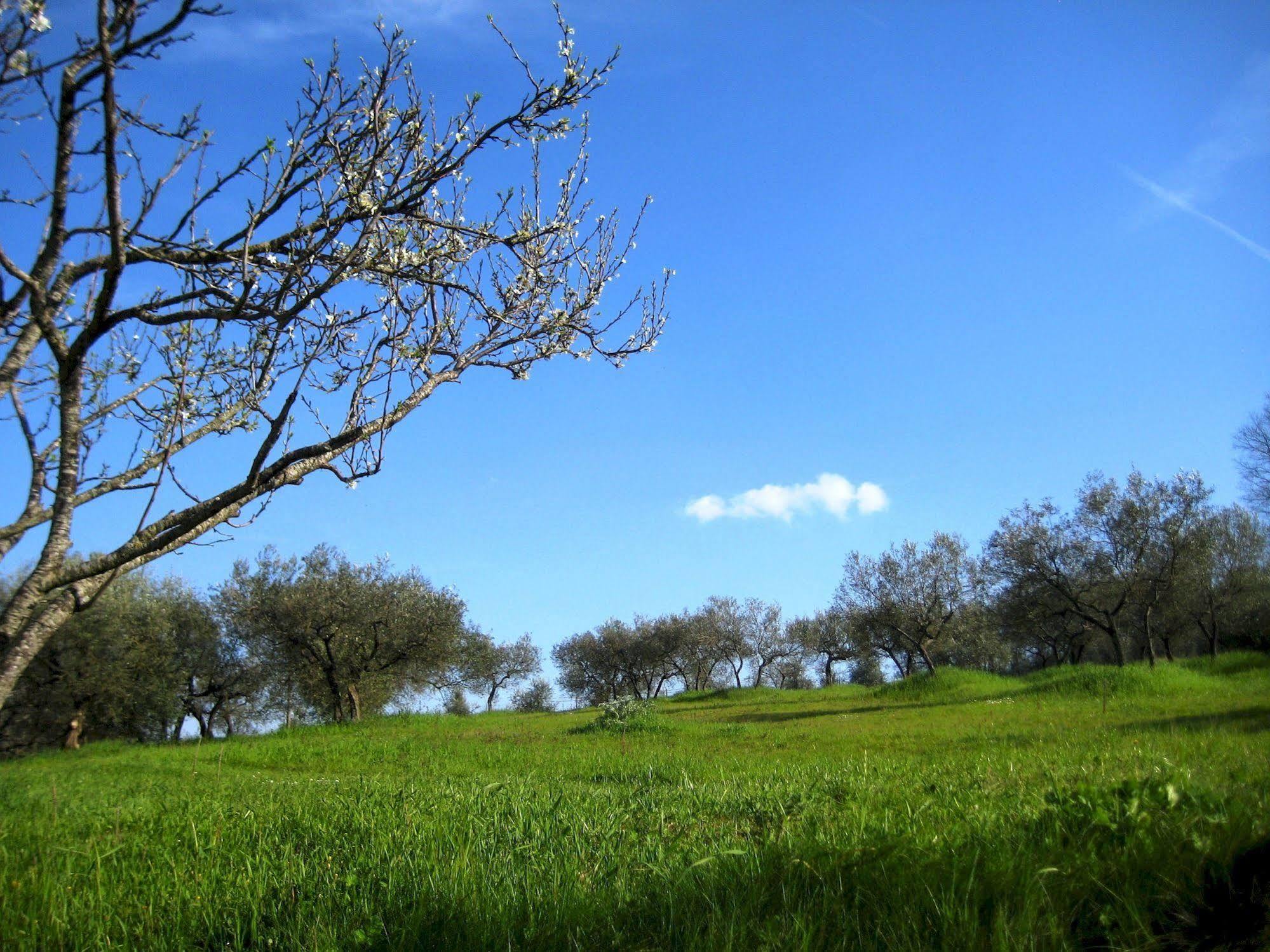 Villa Colle Di Rocco Limigiano Εξωτερικό φωτογραφία